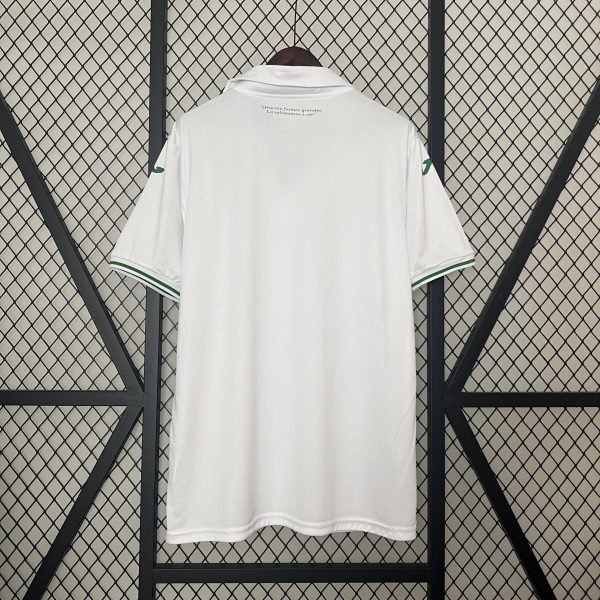 Camiseta Córdoba CF 24/25 Versión especial Aniversario - Imagen 2