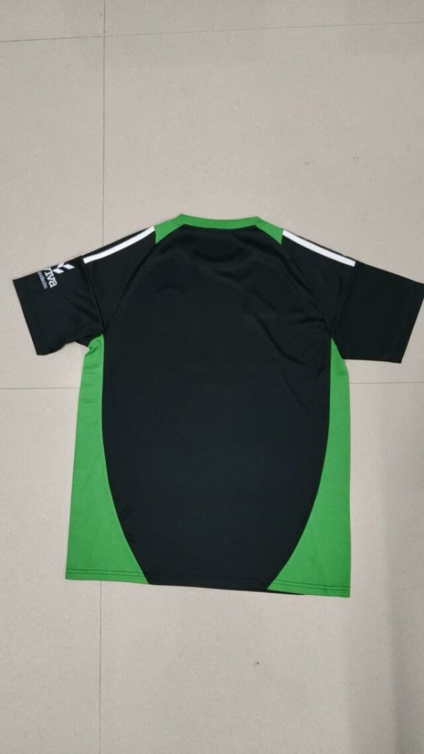 Camiseta Burgos 24/25 3ª equipación - Imagen 2