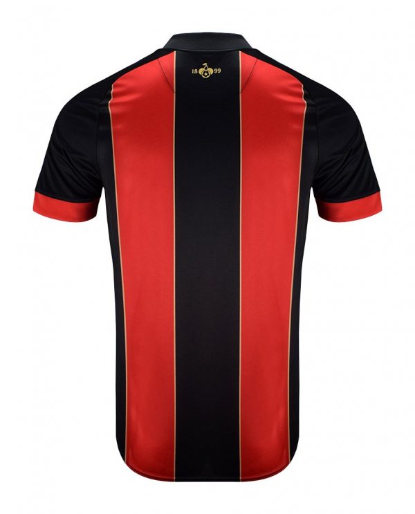 Camiseta Bournemouth 24/25 1ª equipación - Imagen 2